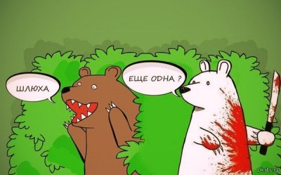 в чем прикол медведь шлюха в чем прикол медведь шлюха