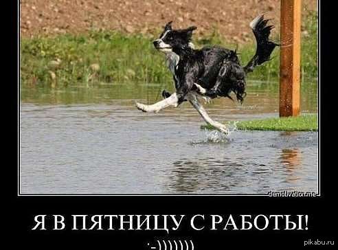 удачного рабочего дня картинка удачного рабочего дня картинка
