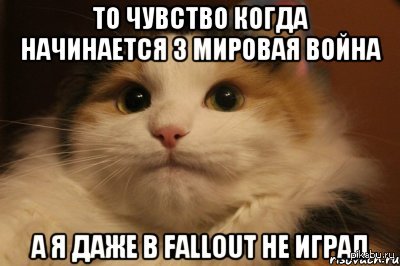 http://s4.pikabu.ru/post_img/2014/03/01/10/1393689869_871915463.jpeg