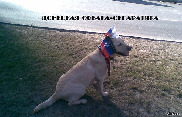 сепаратист