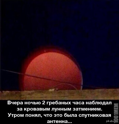 1397984280_1824781078.jpg