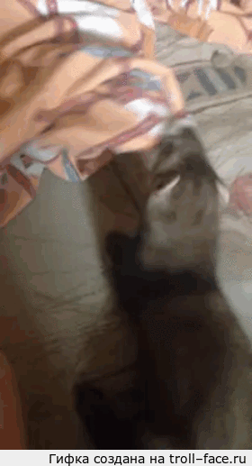 1405319684_1649981118.gif