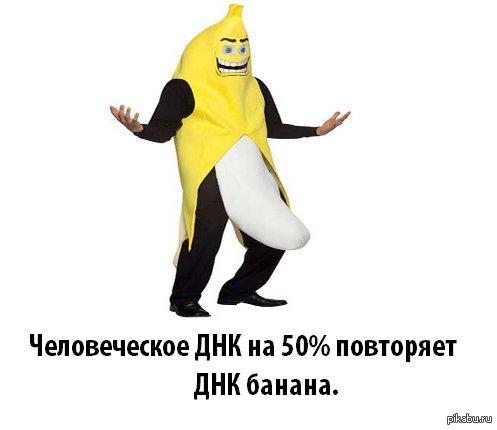Что общего у человека и банана. Смотреть фото Что общего у человека и банана. Смотреть картинку Что общего у человека и банана. Картинка про Что общего у человека и банана. Фото Что общего у человека и банана