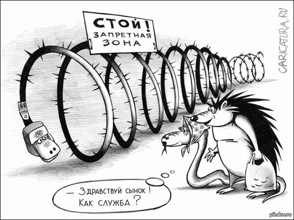 Сынок)))   карикатура, юмор