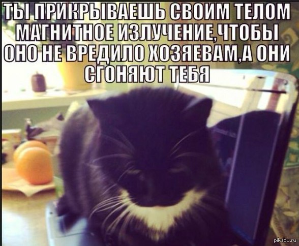 1407493925_1374350912.jpg