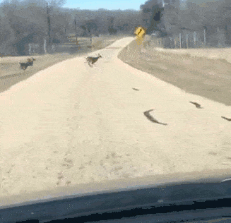 1407505474_1378218148.gif