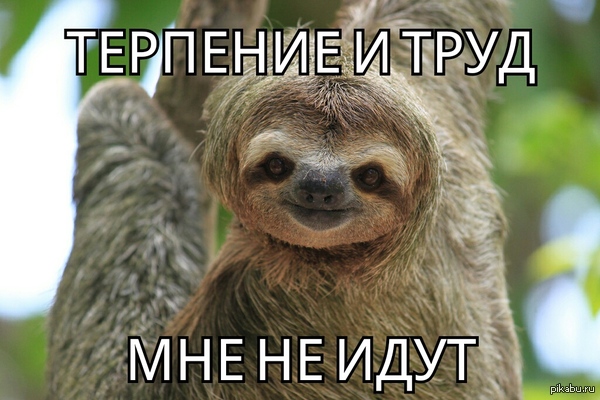 1415859208_1361023299.jpg