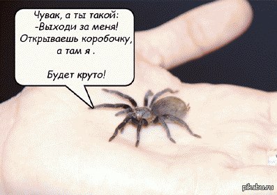 http://s4.pikabu.ru/post_img/2014/11/17/11/1416252045_1415520691.jpg