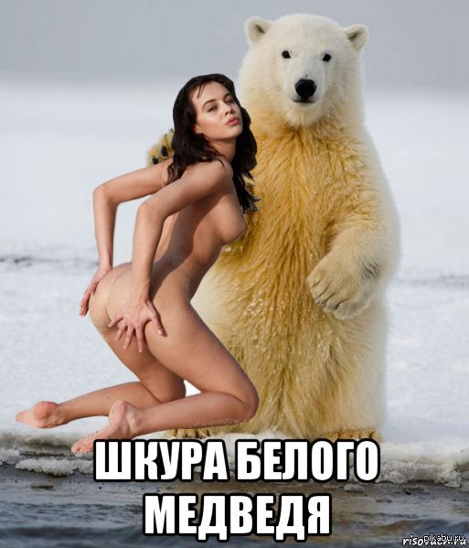 шлюха медведь прикол шлюха медведь прикол