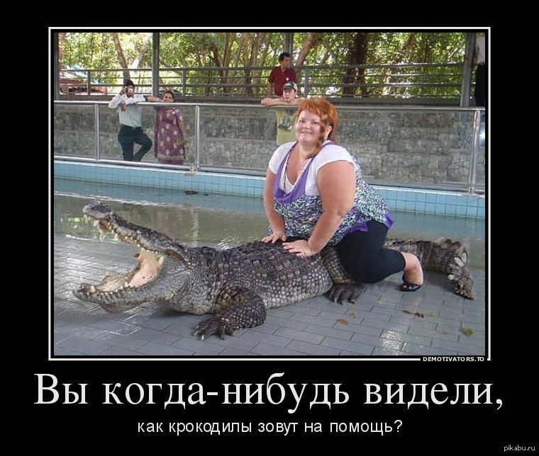 [Зображення: 1404143810_1613136807.jpg]
