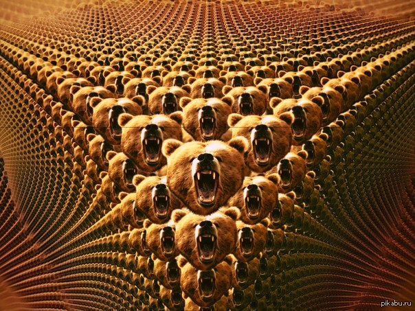 1408089682_576052272.jpg