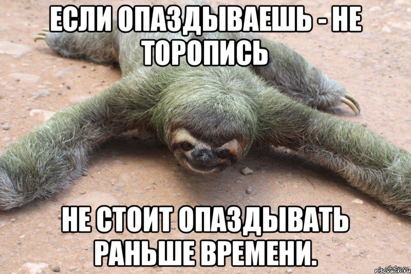 1415784341_209716332.jpeg
