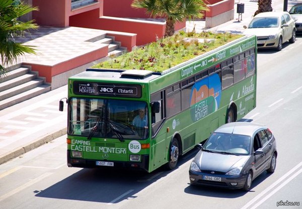 Просто автобус с растущей травой на крыше автобус, трава, крыша, Испания