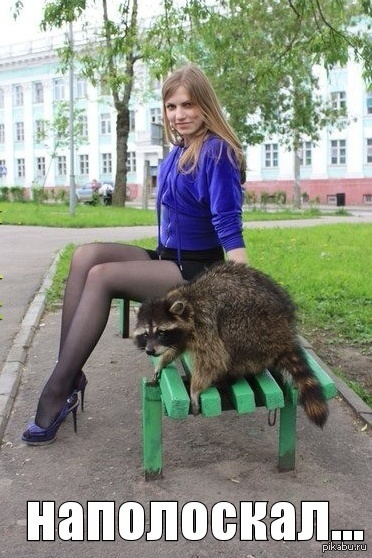 http://s4.pikabu.ru/post_img/2014/10/14/10/1413299131_2061025716.JPG