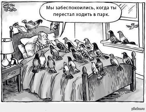 http://s4.pikabu.ru/post_img/2014/10/27/10/1414429288_435859595.jpg